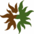 Marrone-Verde